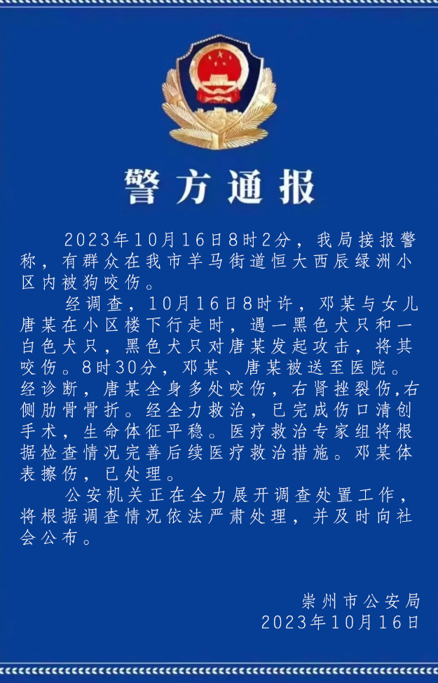 成都女童遭烈犬撕咬事件：必须将狗主人绳之以法！