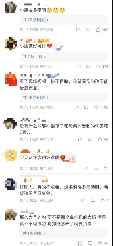 成都女童遭烈犬撕咬事件：必须将狗主人绳之以法！