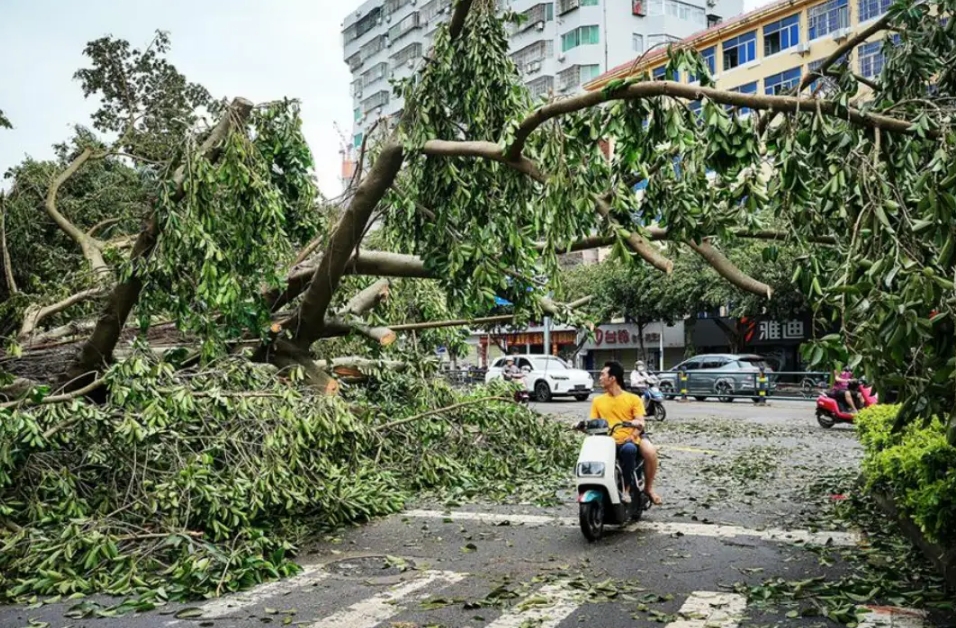 台风事件过后，在公司我一直被批评，该怎么办？