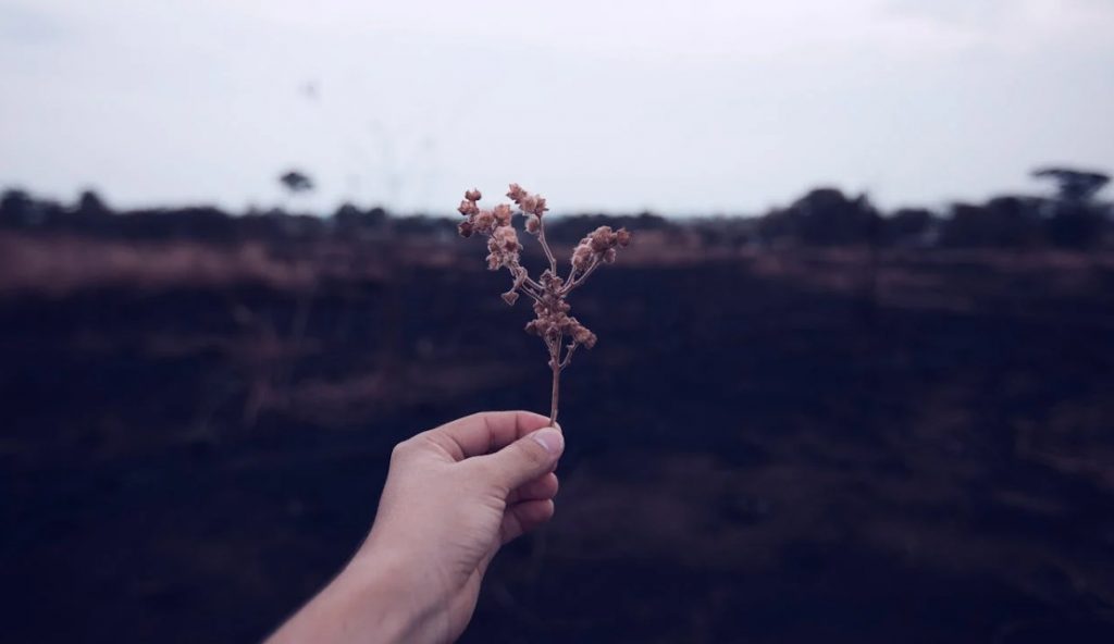 社交恐惧症？不，你可能只是沉迷于一场‘敌意想象’的梦